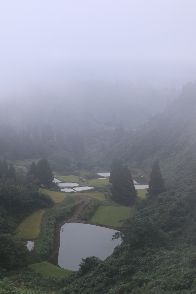 【長岡　古志高原】初秋の気配