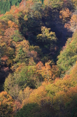 朝の秘境にて（秋山郷）