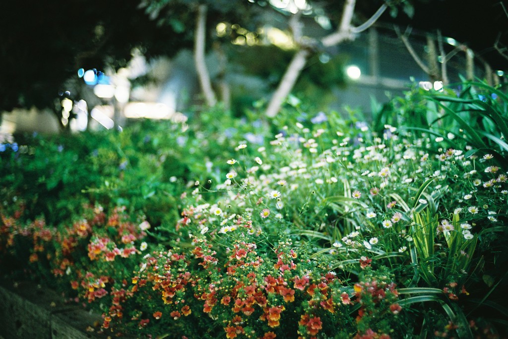 三宮の交差点にて