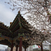 生田川公園
