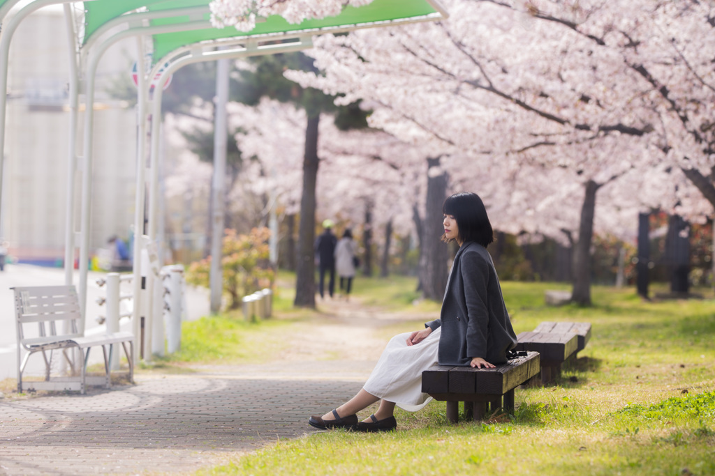 穏やかな日