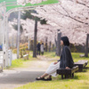 穏やかな日