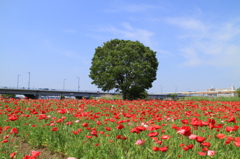 おでかけ