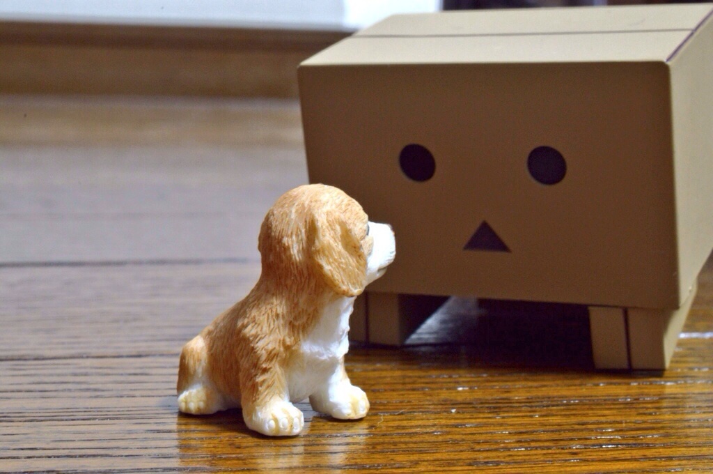 じーっ