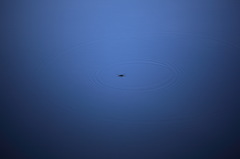 宇宙遊泳