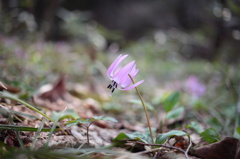 存在感