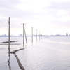 海へ向かう電柱