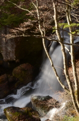 滝