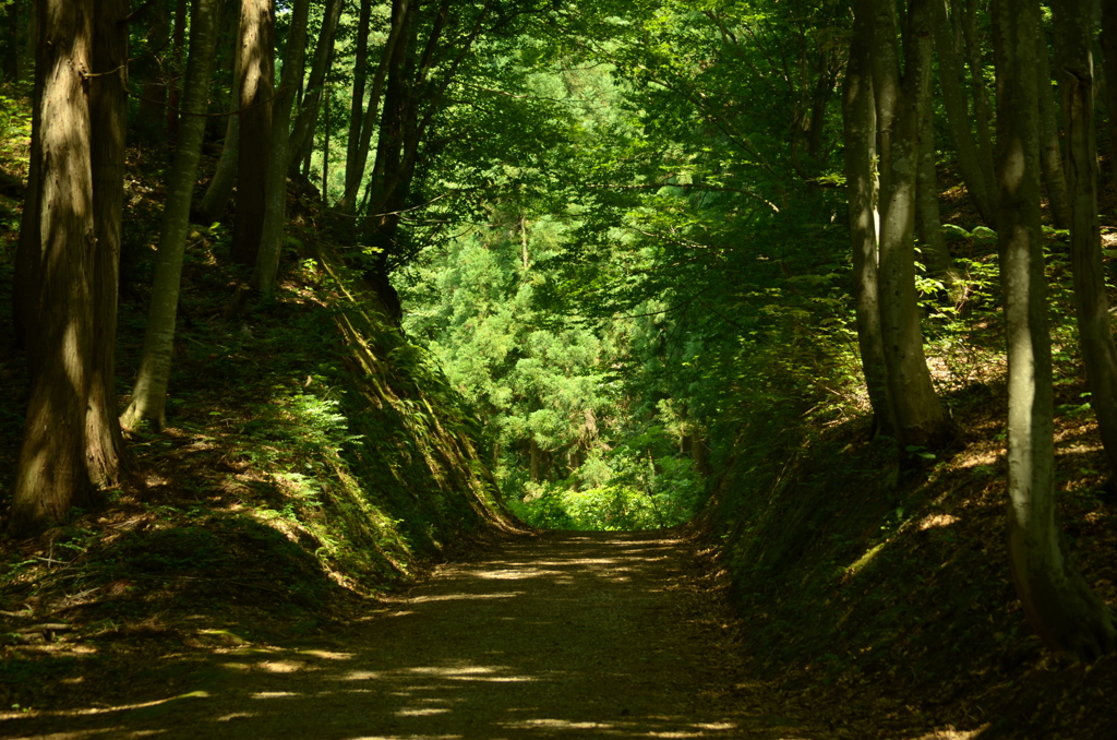 山道