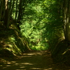 山道