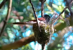 DSC02135-21-21 DSC02135-21-21