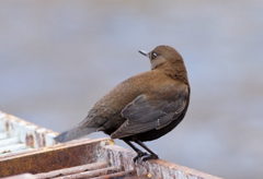 アップで... アップで...