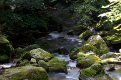 滝川渓谷09