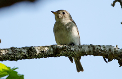 可愛すぎ 可愛すぎ