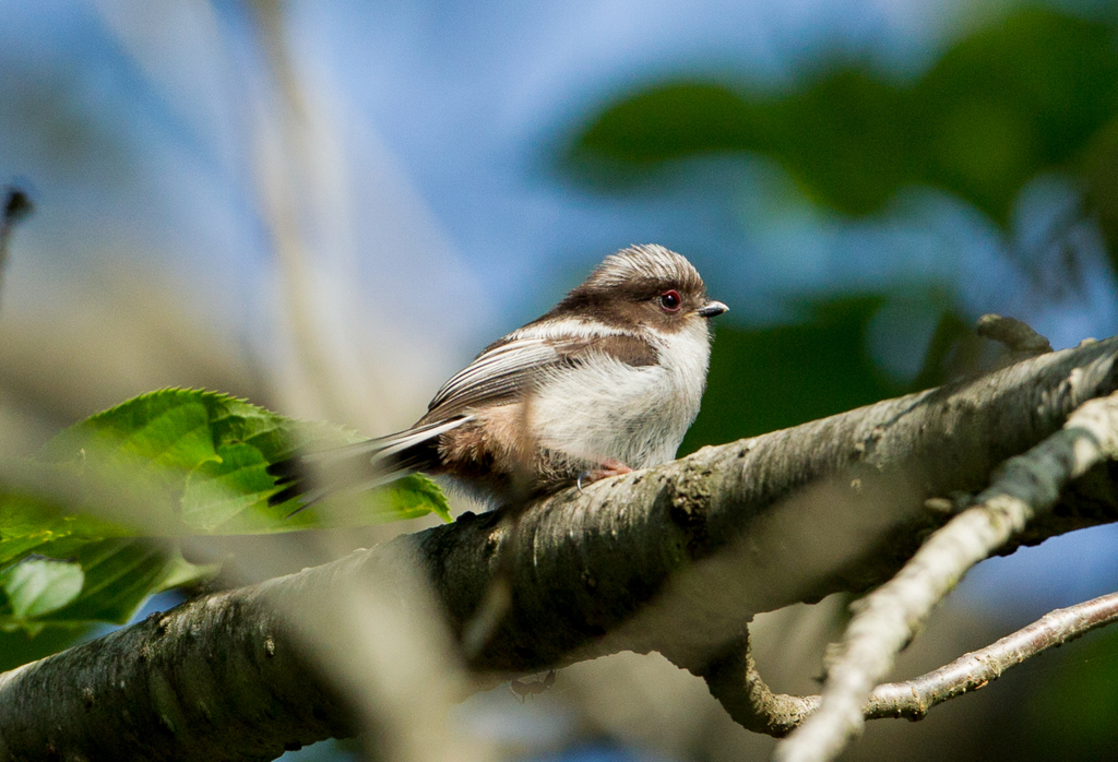 こりゃたまらんわ～