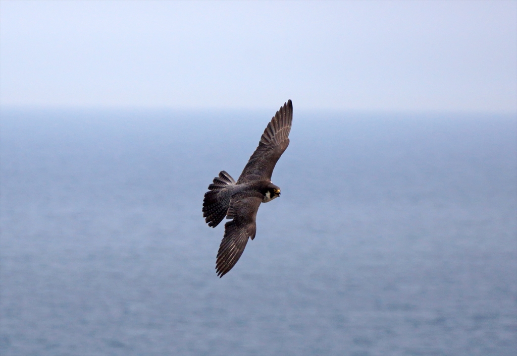 DSC05149_R