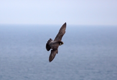 DSC05149_R
