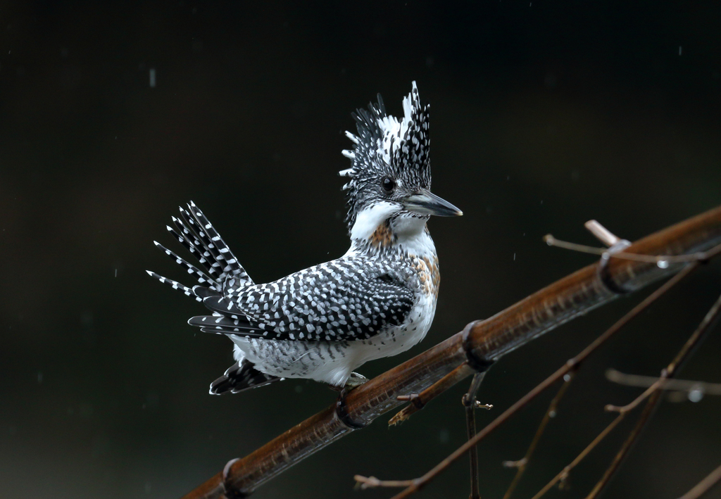 試し撮り　Part 1　こんな感じで