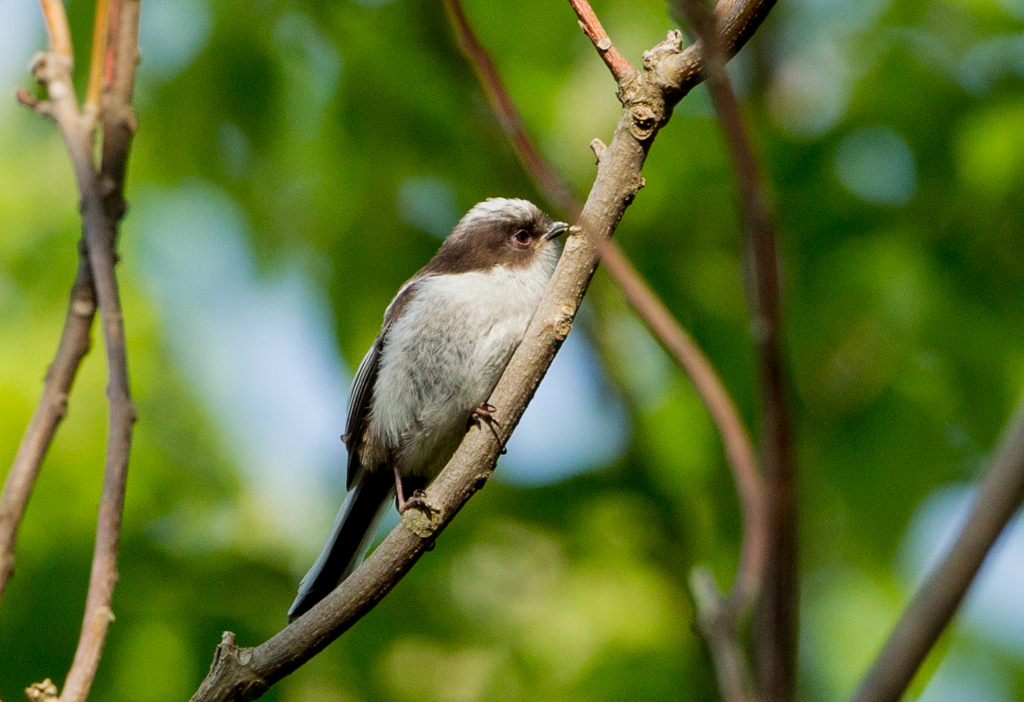 可愛すぎます01