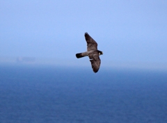 DSC05142_R