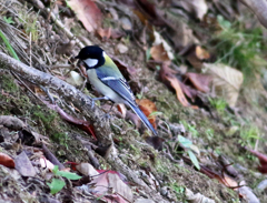 ISO1600 試し撮り05