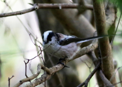 ISO1600 試し撮り04