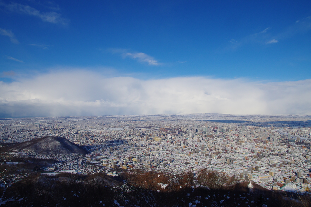 藻岩山から円山を観て