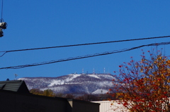 初雪