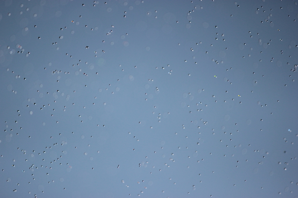 水玉