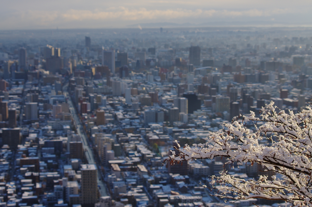 雪花