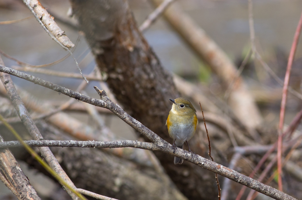 可愛く撮ってね。