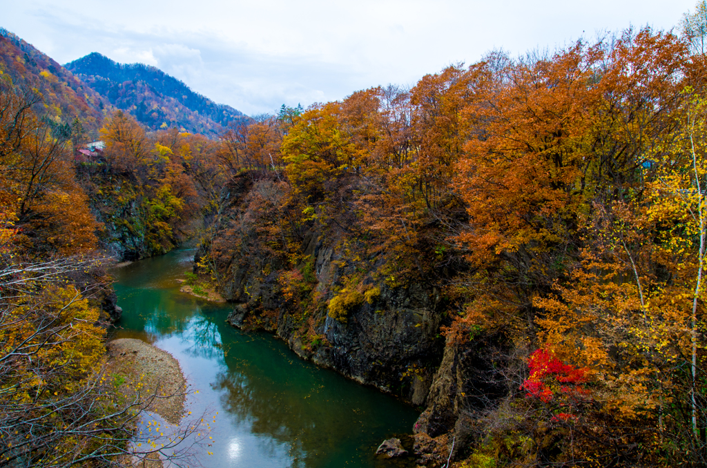 緑の川