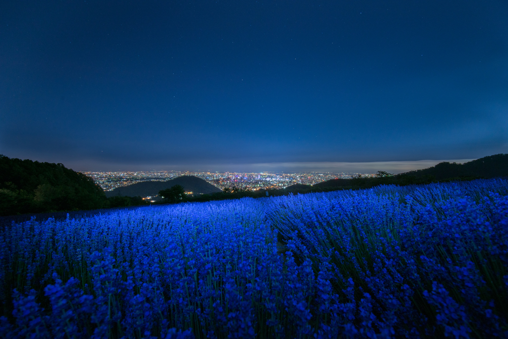 青い夜景