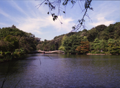 風景