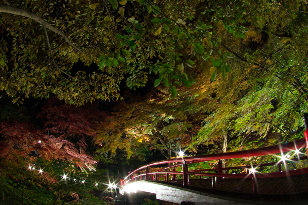 夜にきらめく紅い橋