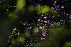 点・点