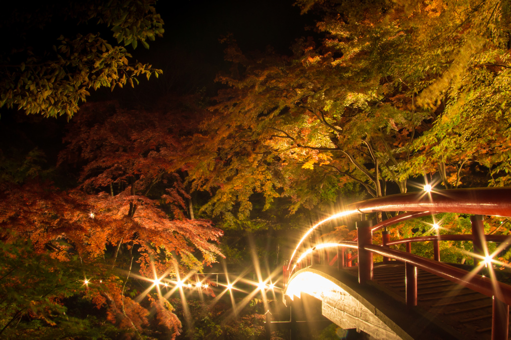 紅葉の河鹿橋