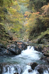 檜原村　滝〜渓流〜紅葉