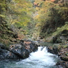 檜原村　滝〜渓流〜紅葉