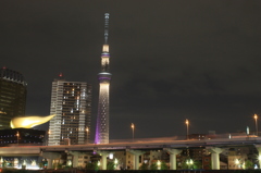 隅田川沿いのスカイツリー