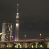 隅田川沿いのスカイツリー