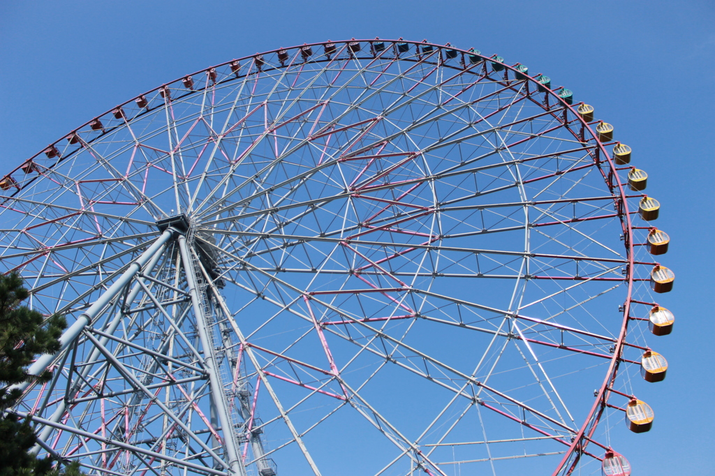 葛西臨海公園にて