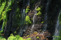 白糸の滝１