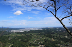 飛んで行けそう