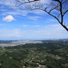 飛んで行けそう
