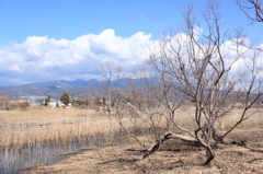 浮島ヶ原自然公園１