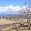 浮島ヶ原自然公園１