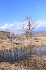 浮島ヶ原自然公園２