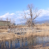 浮島ヶ原自然公園２