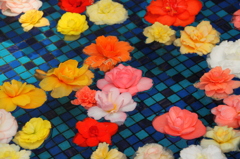水に浮かぶ花々